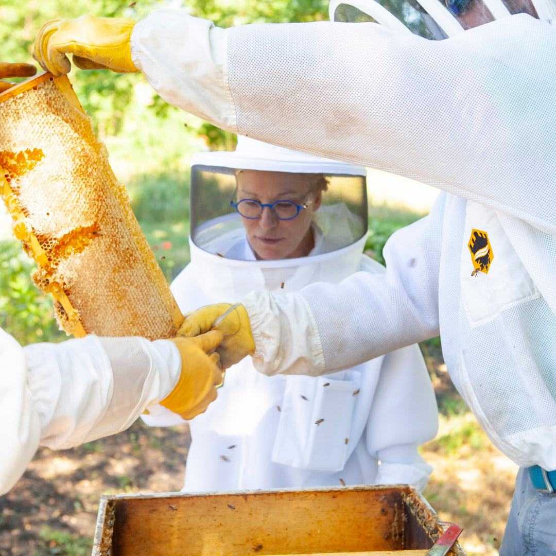 Kara in her beekeeping suit looking into a hive box 