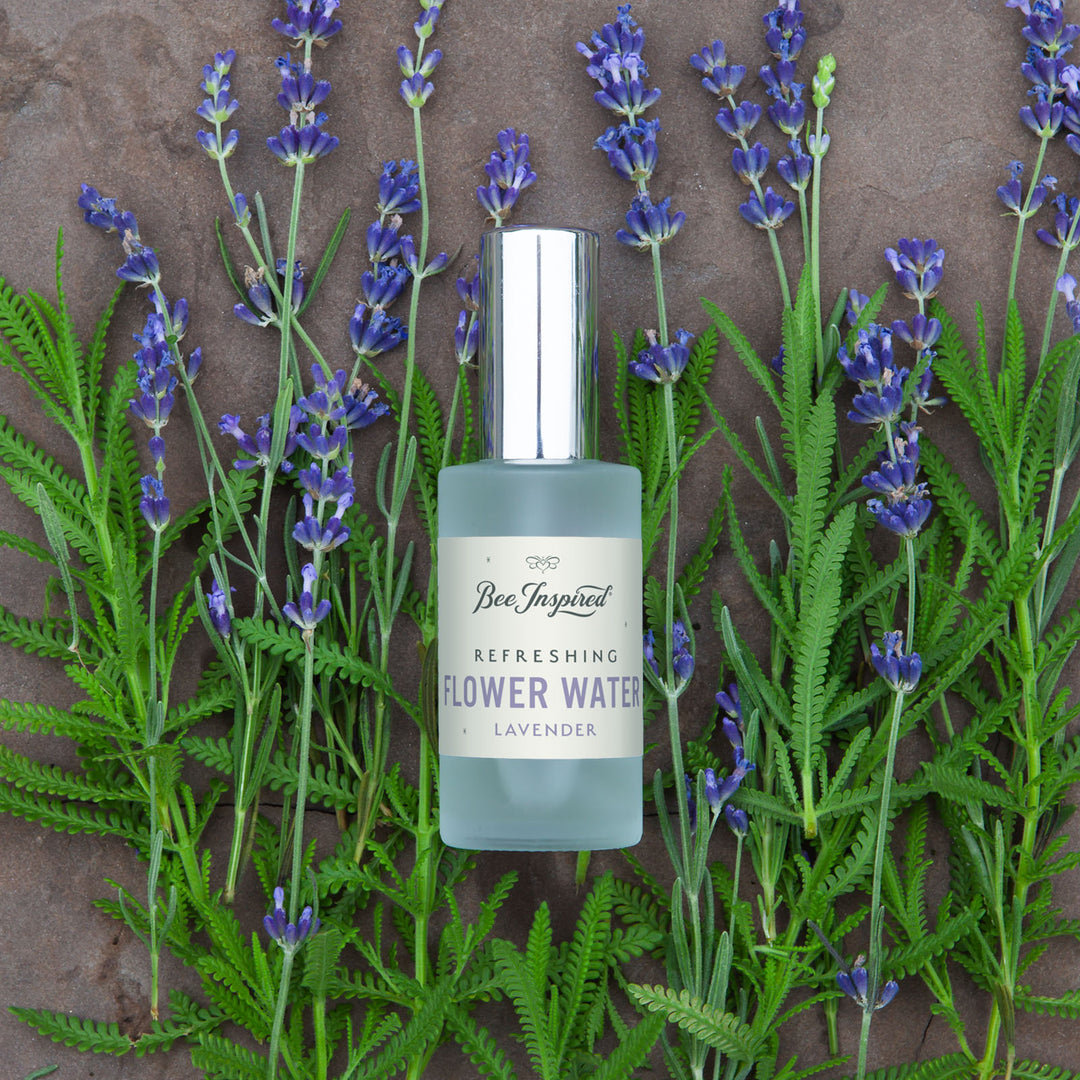 Lavender flower water flat lay with lavender 