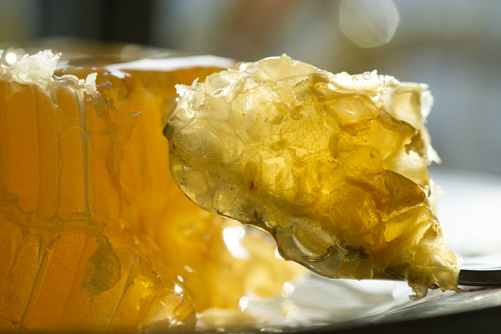 macro view of honeycomb