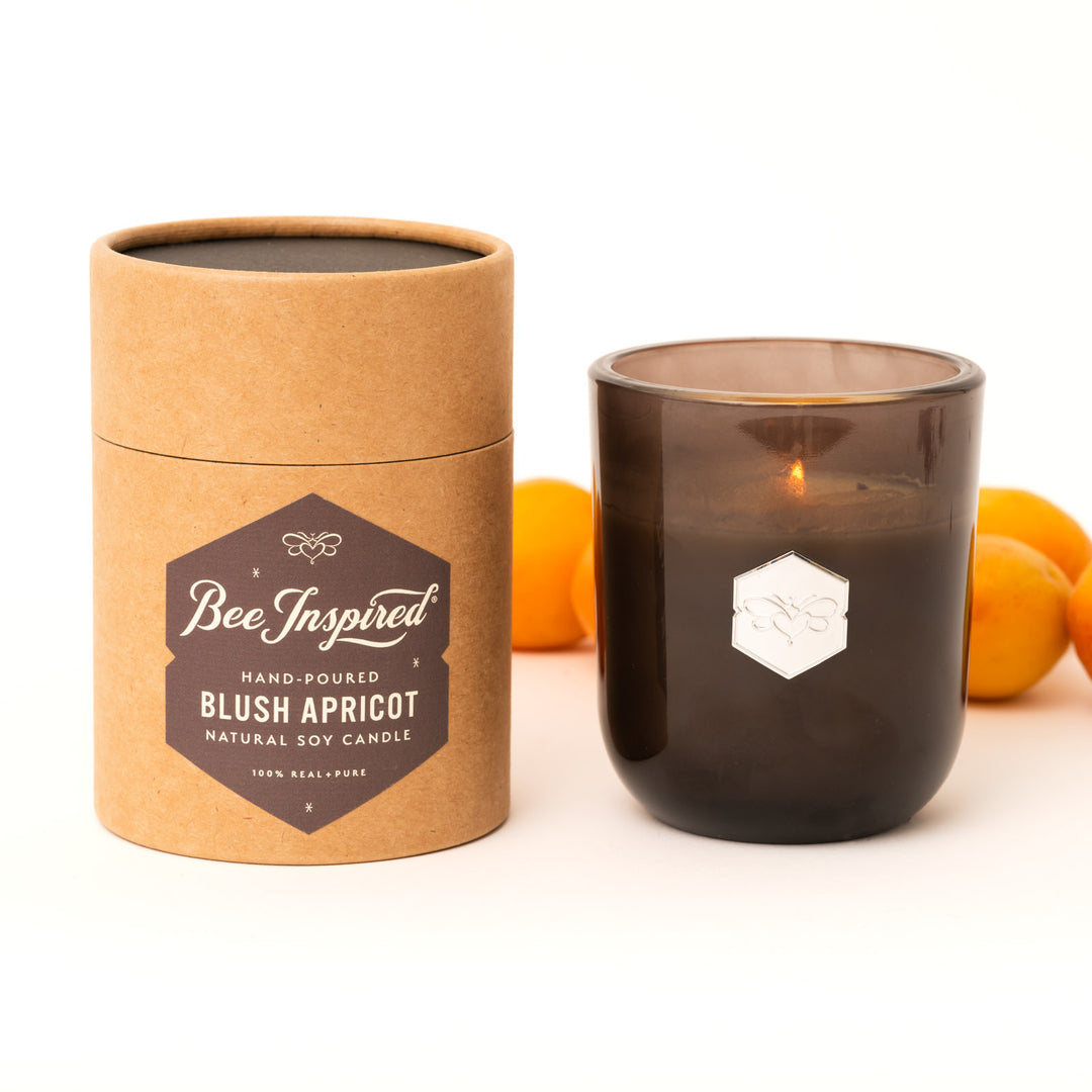 blush apricot luxe candle from bee inspired honey retail store in owings mills with its tube and apricots on white