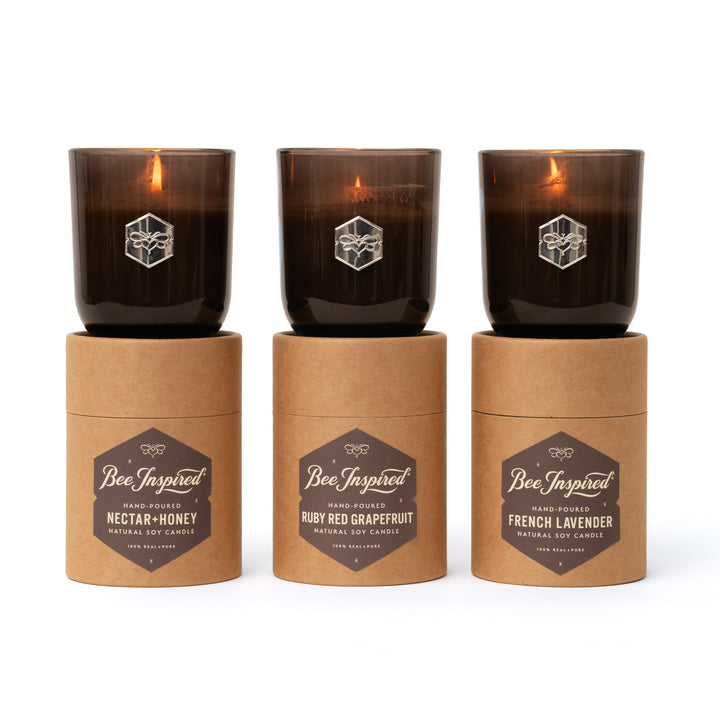 Nectar and Honey, Ruby Red Grapefruit, and French Lavender luxe candles on white 