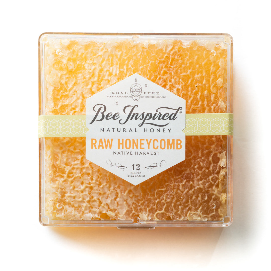 Raw honeycomb on white 