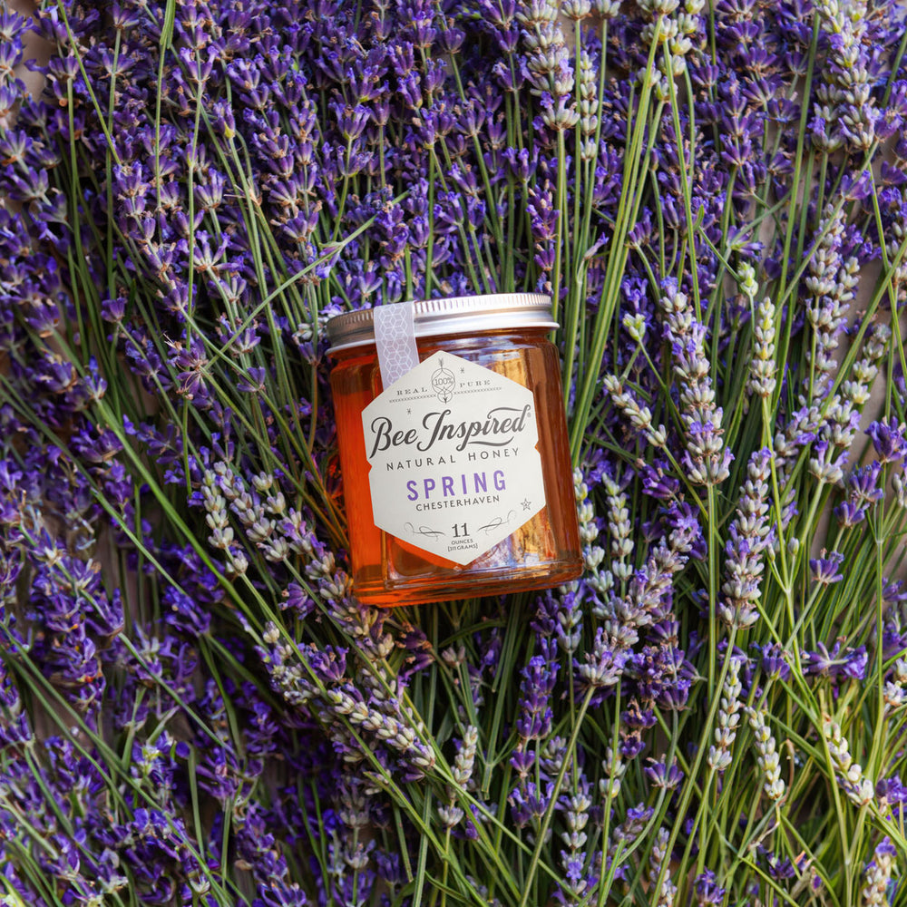 a jar of spring honey from bee inspired honey retail store in owings mills on a bed of lavender