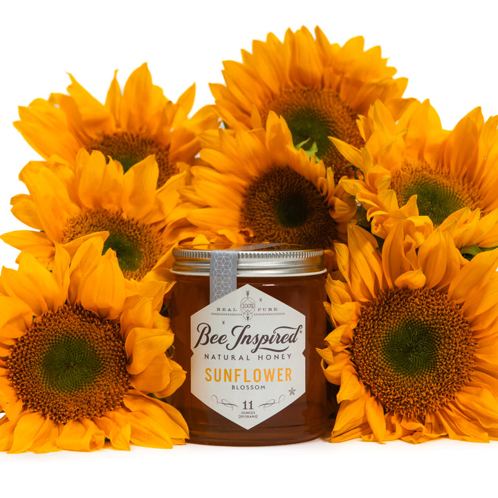 sunflower honey with sunflowers on white