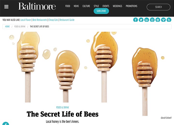 Image of Baltimore magazine article with headline "The Secret Life of Bees" with honey and honey dippers 