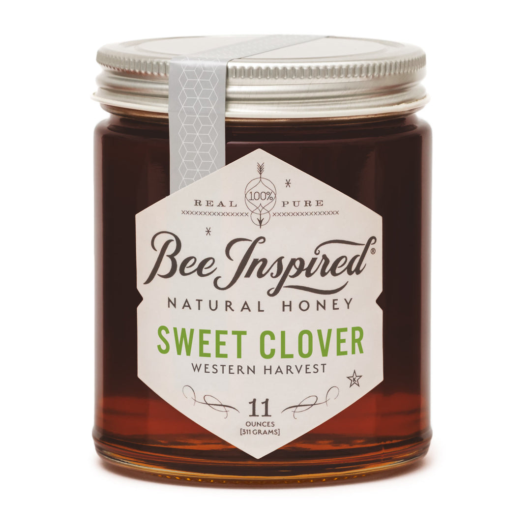 Sweet Clover honey on white