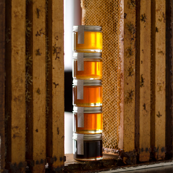 Honey Tasting Tower next to hive frames 