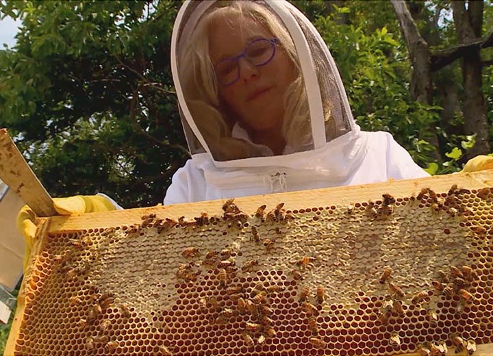 Kara in beekeeping suit looking down into a hive box filled with honeycomb and bees