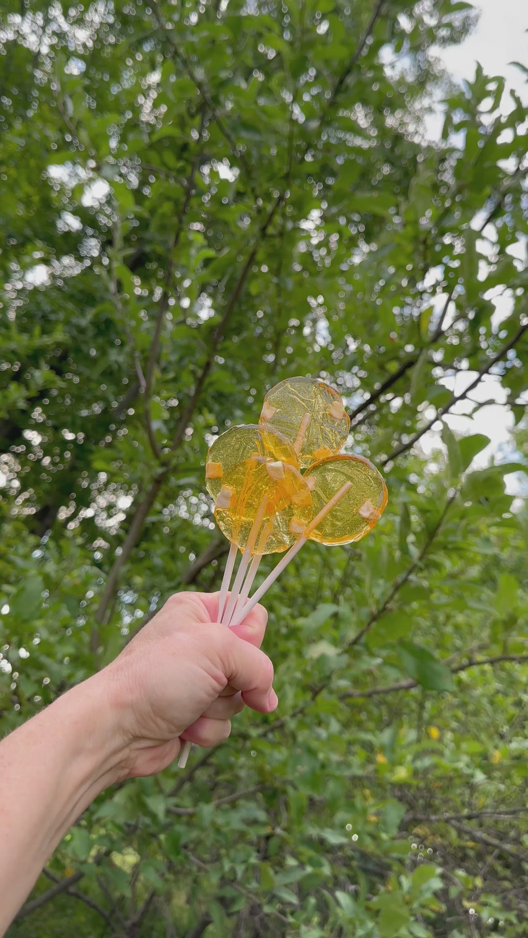 Video clip of a apple honey lollipop bouquet in front of nature 