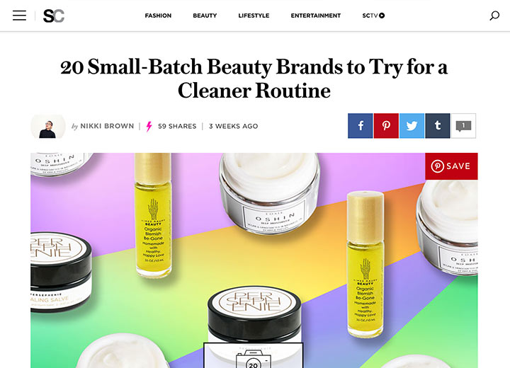 Image of Style Caster article with headline "20 Small-Batch Beauty Brands to Try for a Cleaner Routine"